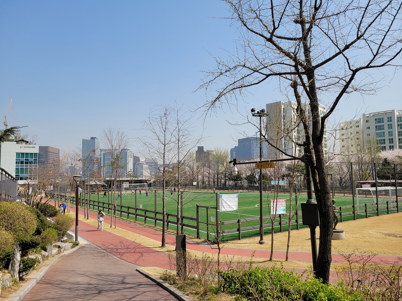 发展路线 发展路线